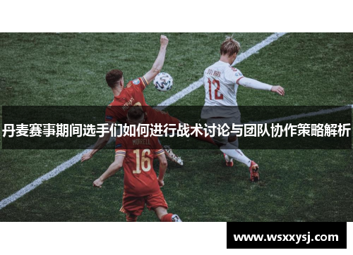 丹麦赛事期间选手们如何进行战术讨论与团队协作策略解析