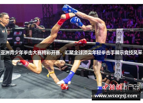亚洲青少年拳击大赛精彩开赛，汇聚全球顶尖年轻拳击手展示竞技风采