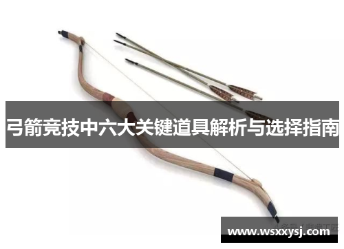 弓箭竞技中六大关键道具解析与选择指南