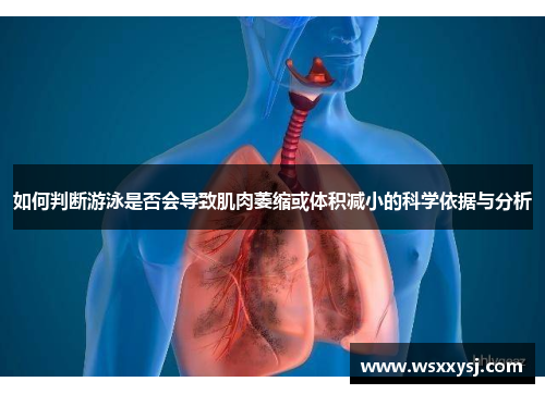 如何判断游泳是否会导致肌肉萎缩或体积减小的科学依据与分析
