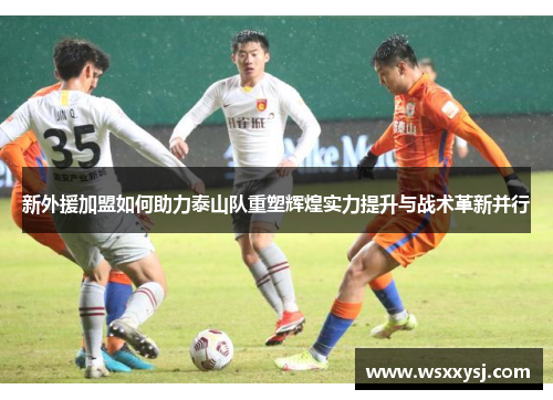 新外援加盟如何助力泰山队重塑辉煌实力提升与战术革新并行