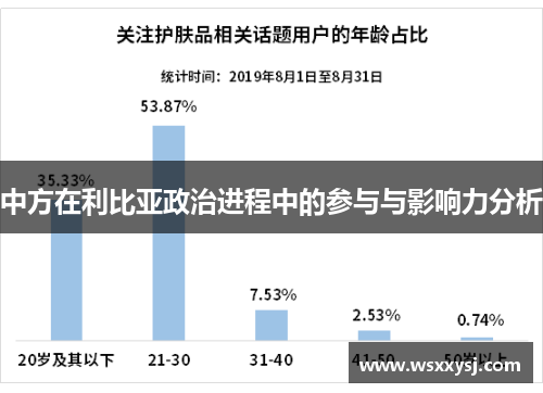 中方在利比亚政治进程中的参与与影响力分析