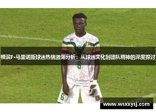 横滨F·马里诺斯球迷热情激荡分析：从球迷文化到团队精神的深度探讨