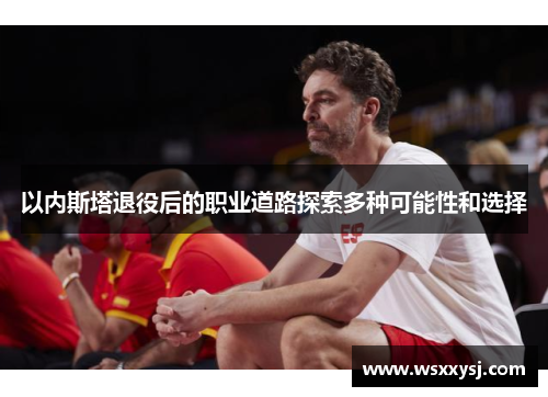 以内斯塔退役后的职业道路探索多种可能性和选择