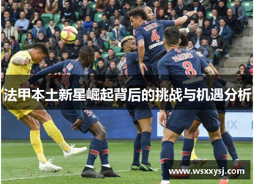 法甲本土新星崛起背后的挑战与机遇分析