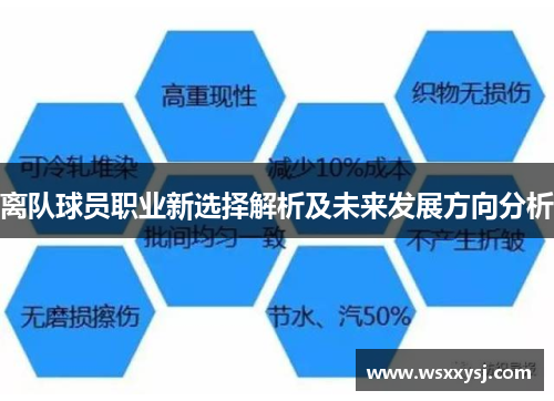 离队球员职业新选择解析及未来发展方向分析