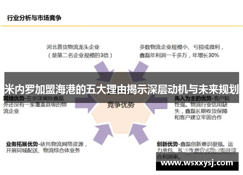米内罗加盟海港的五大理由揭示深层动机与未来规划