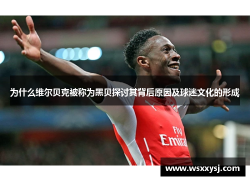 为什么维尔贝克被称为黑贝探讨其背后原因及球迷文化的形成