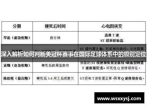 深入解析如何判断美冠杯赛事在国际足球体系中的级别定位