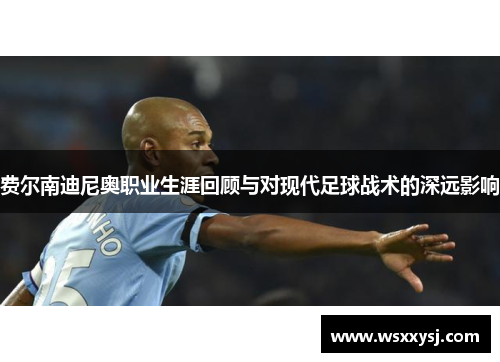 费尔南迪尼奥职业生涯回顾与对现代足球战术的深远影响 费尔南迪尼奥职业生涯回顾与对现代足球战术的深远影响